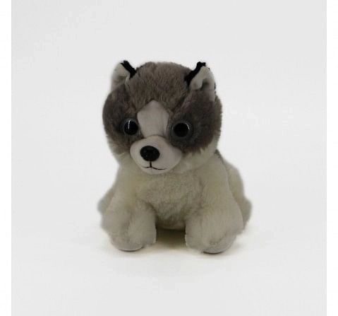 Dimpy Toys Assorted Dog Husky, Unisex, 3Y+(Multicolour)