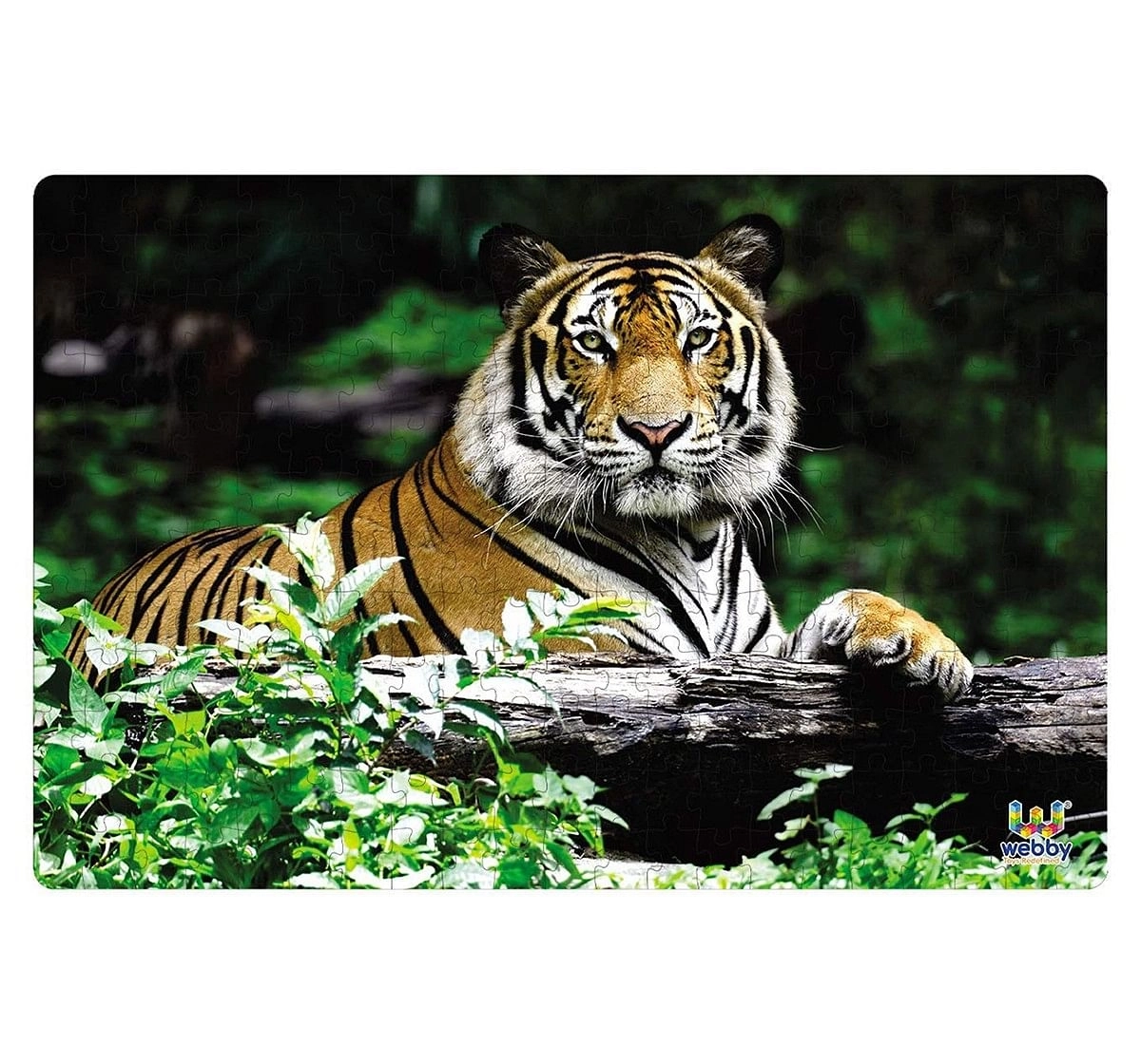 Webby Indian Bengal Tiger Puzzle 252pcs,  6Y+ (Multicolour)