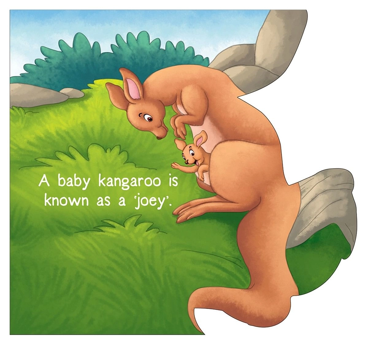 Kangaroo : Cutout Board Book, 10 Pages Book, Board Book