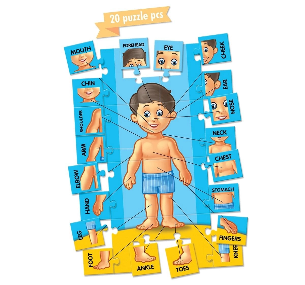 Hellofriend Books Human Body Puzzle Hard Cover Box Multicolor 4Y+