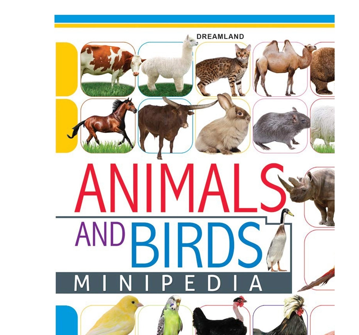 Dreamland Paperback Animals and Birds Minipedia Books for Kids 5Y+, Multicolour
