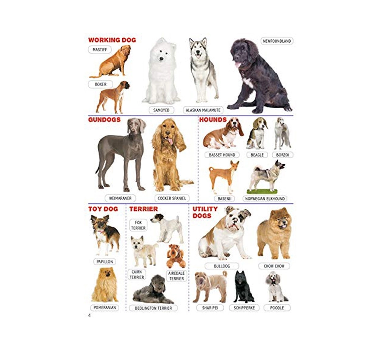 Dreamland Paperback Animals and Birds Minipedia Books for Kids 5Y+, Multicolour