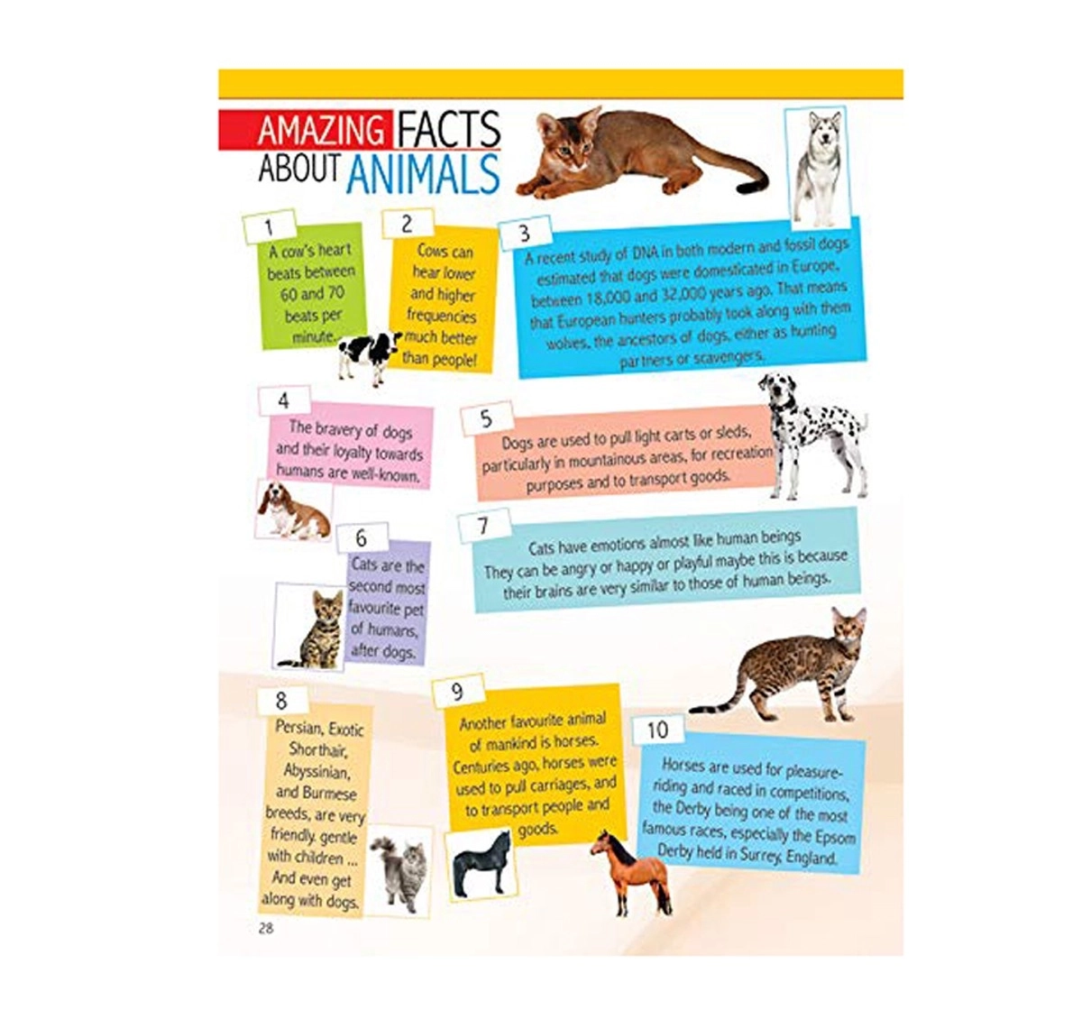 Dreamland Paperback Animals and Birds Minipedia Books for Kids 5Y+, Multicolour