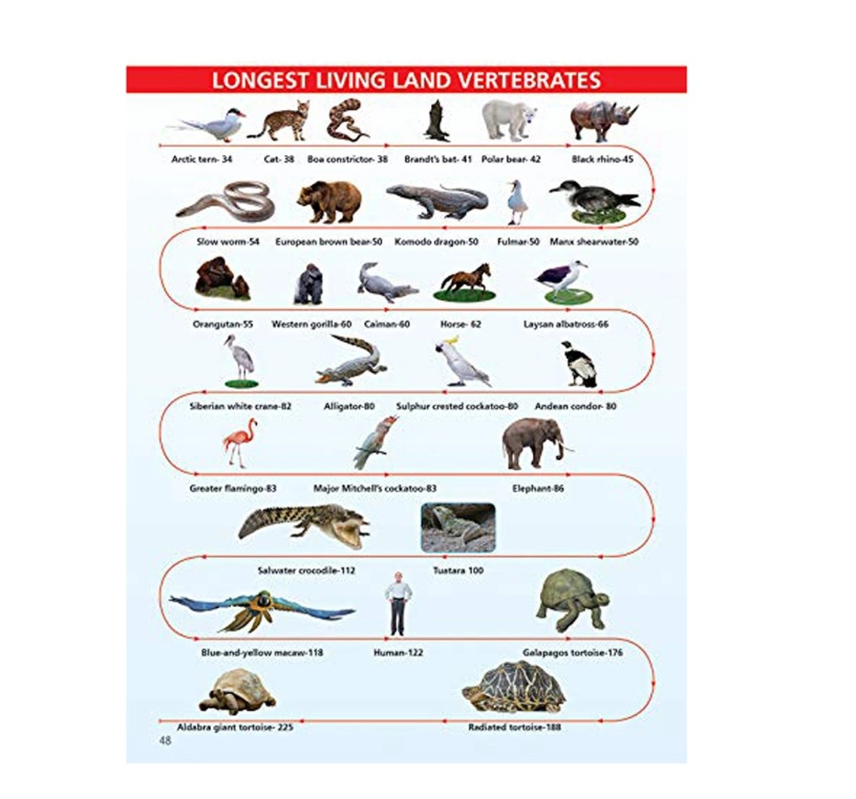 Dreamland Paperback Animals and Birds Minipedia Books for Kids 5Y+, Multicolour