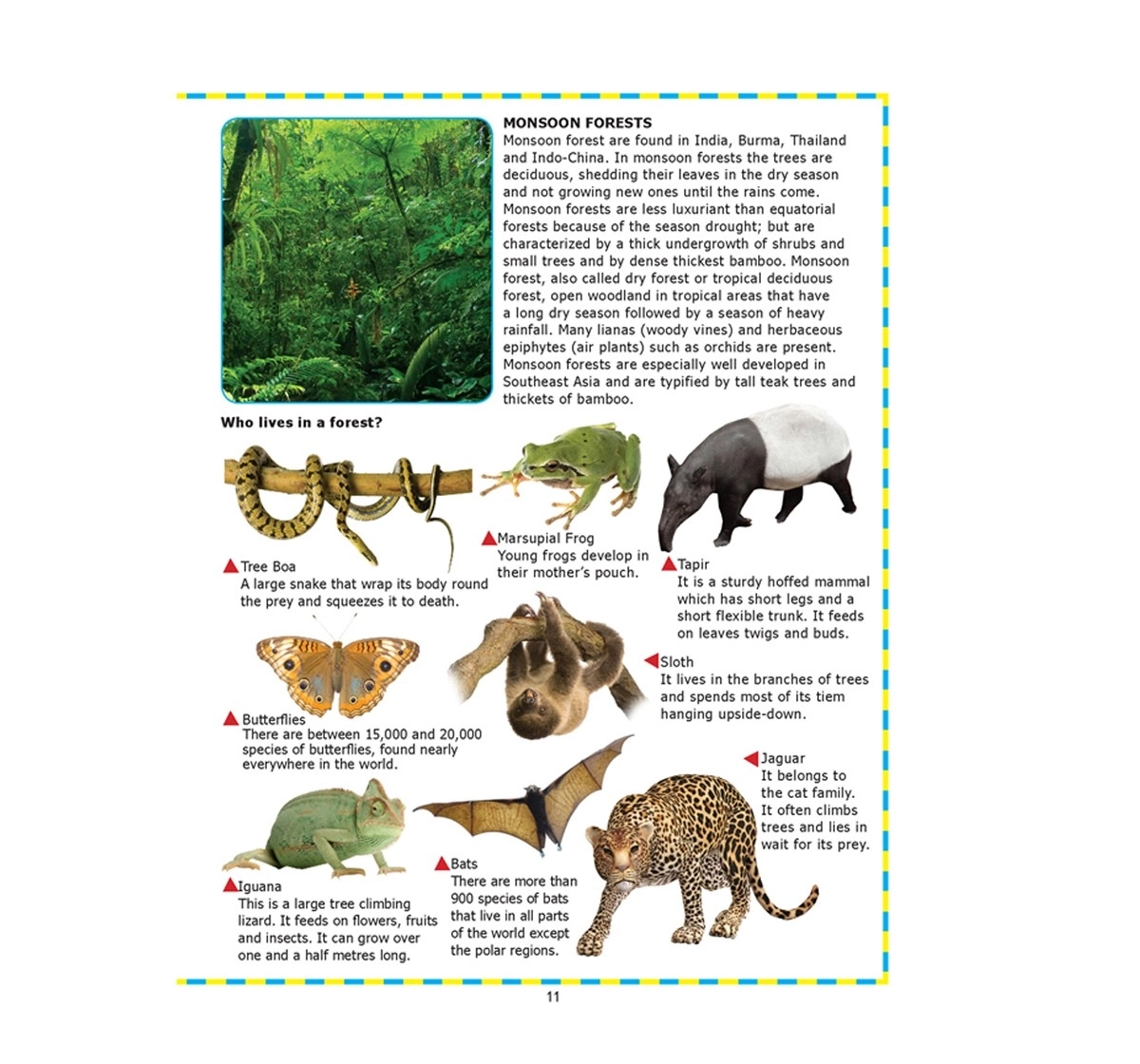 Dreamland Paperback Junior Encyclopedia Books for Kids 9Y+, Multicolour