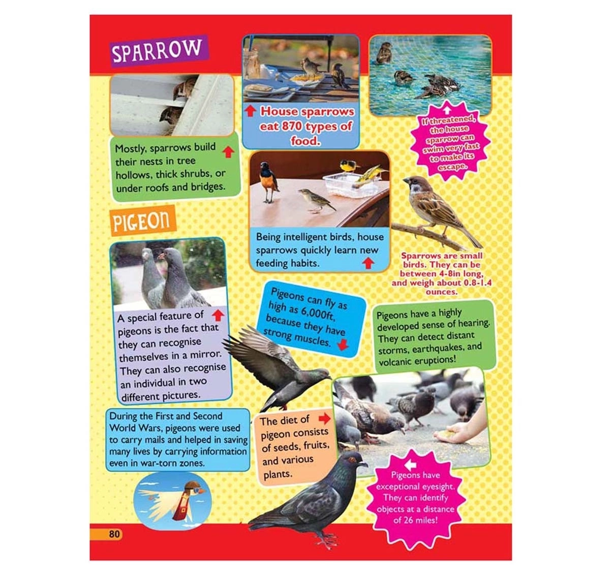 Dreamland Paperback 365 Facts on Animal and Bird Books for Kids 6Y+, Multicolour