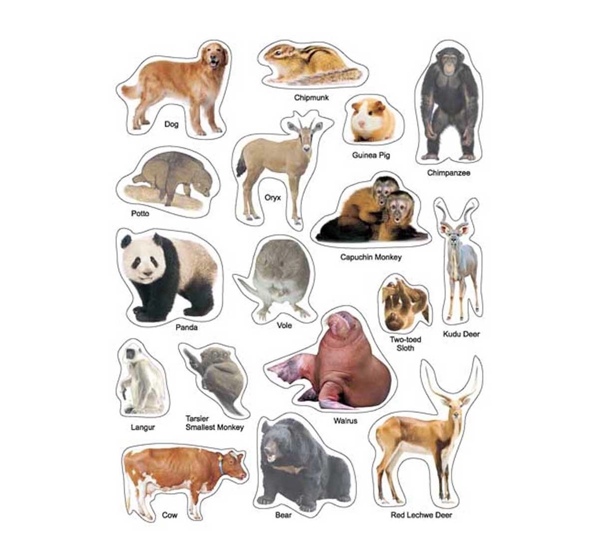 Dreamland Paperback Sticker Pack of 6 Books for Kids 3Y+, Multicolour