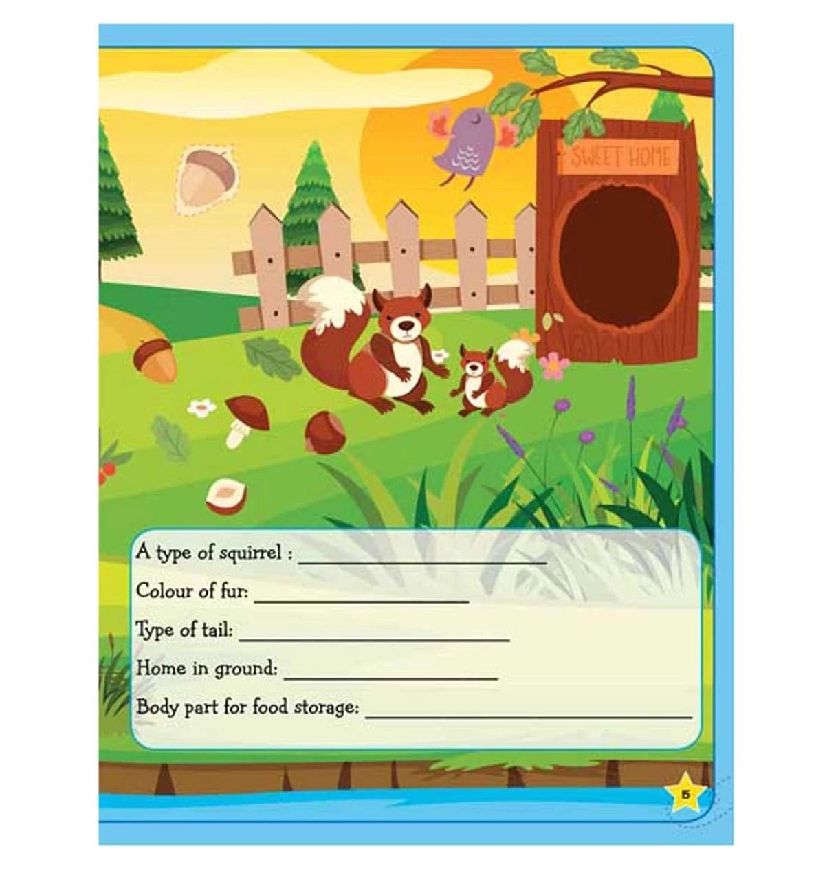 Dreamland Learn Everyday Reading Comprehension, 72 Pages, Paperback
