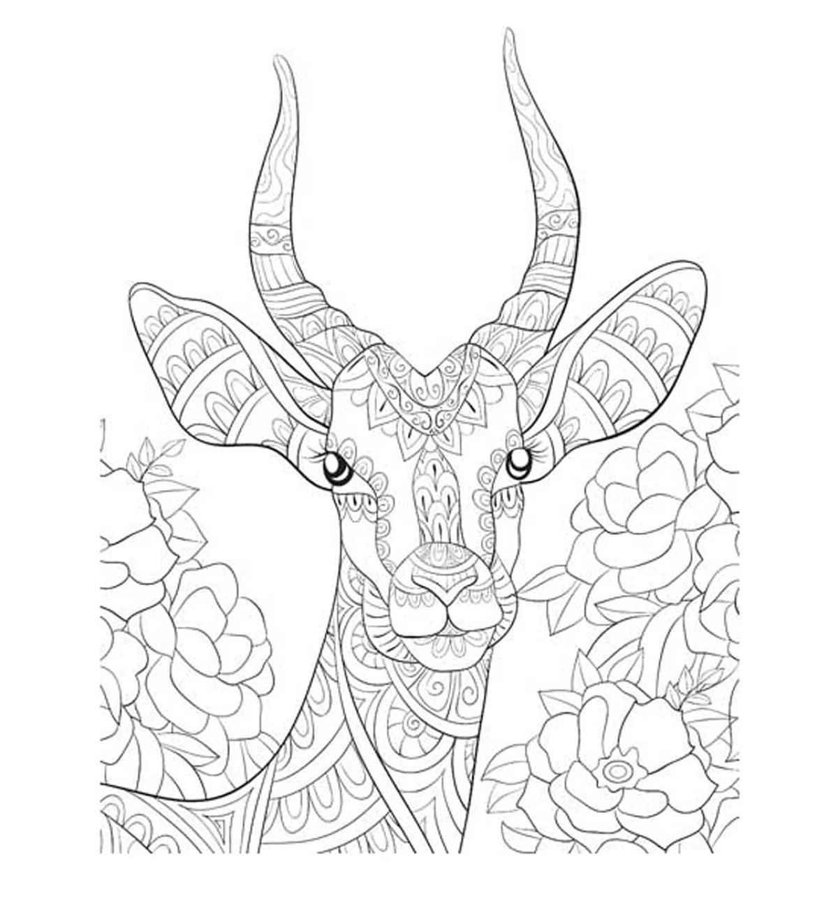 Dreamland Wilderness Colouring Book For Adults, 32 Pages, Paperback