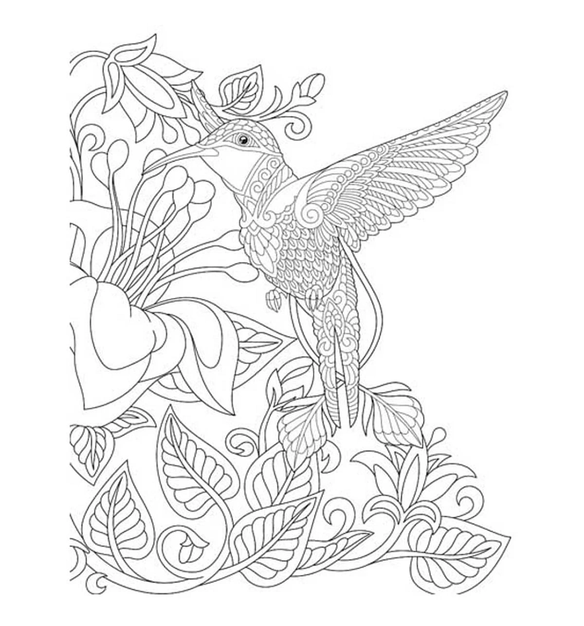 Dreamland Wilderness Colouring Book For Adults, 32 Pages, Paperback