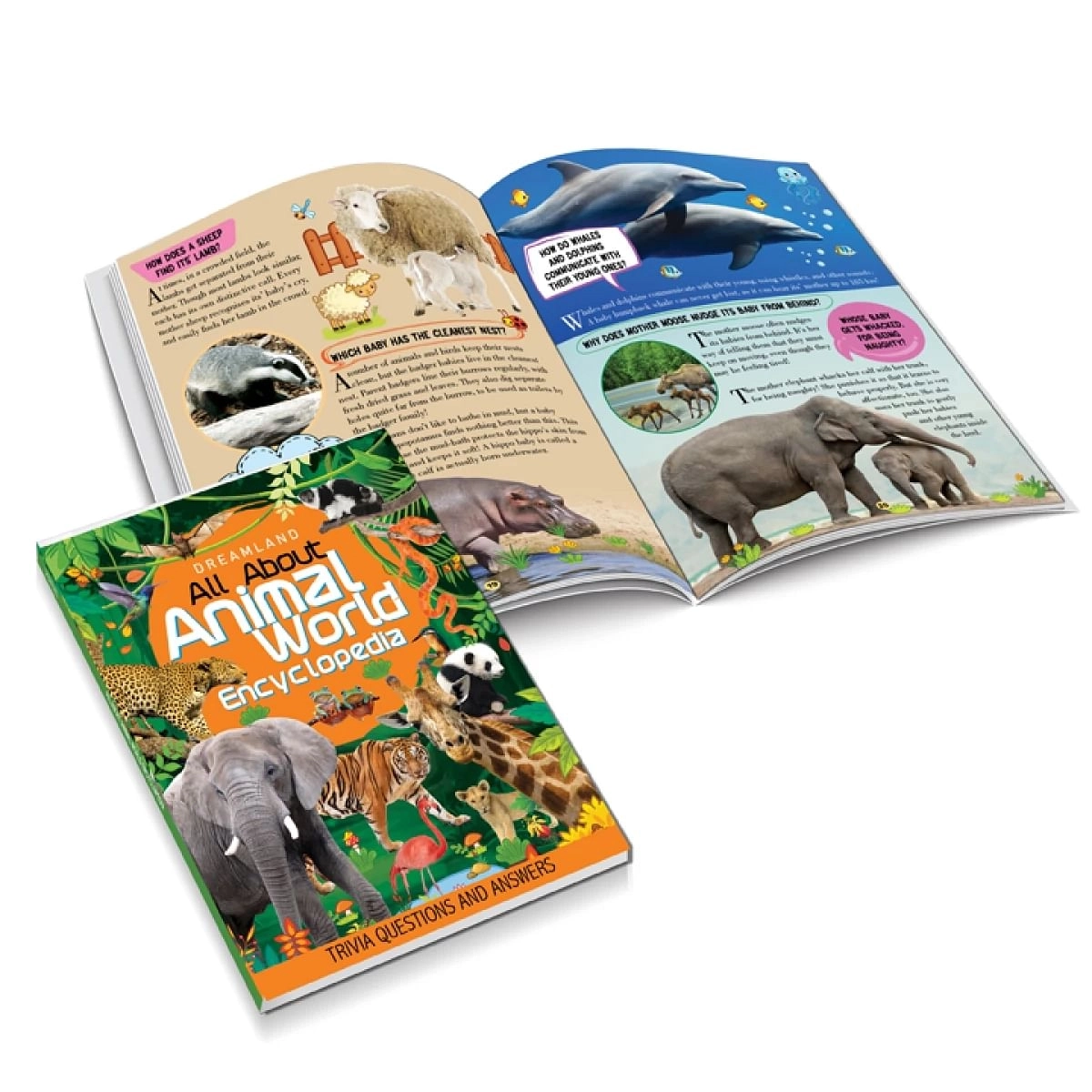 Dreamland Animal World Children Encyclopedia, All About Trivia Questions And Answers, 64 Pages, Paperback
