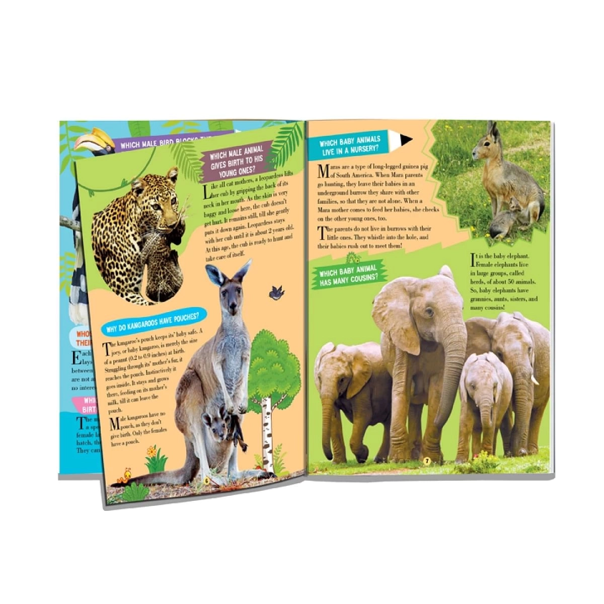 Dreamland Animal World Children Encyclopedia, All About Trivia Questions And Answers, 64 Pages, Paperback