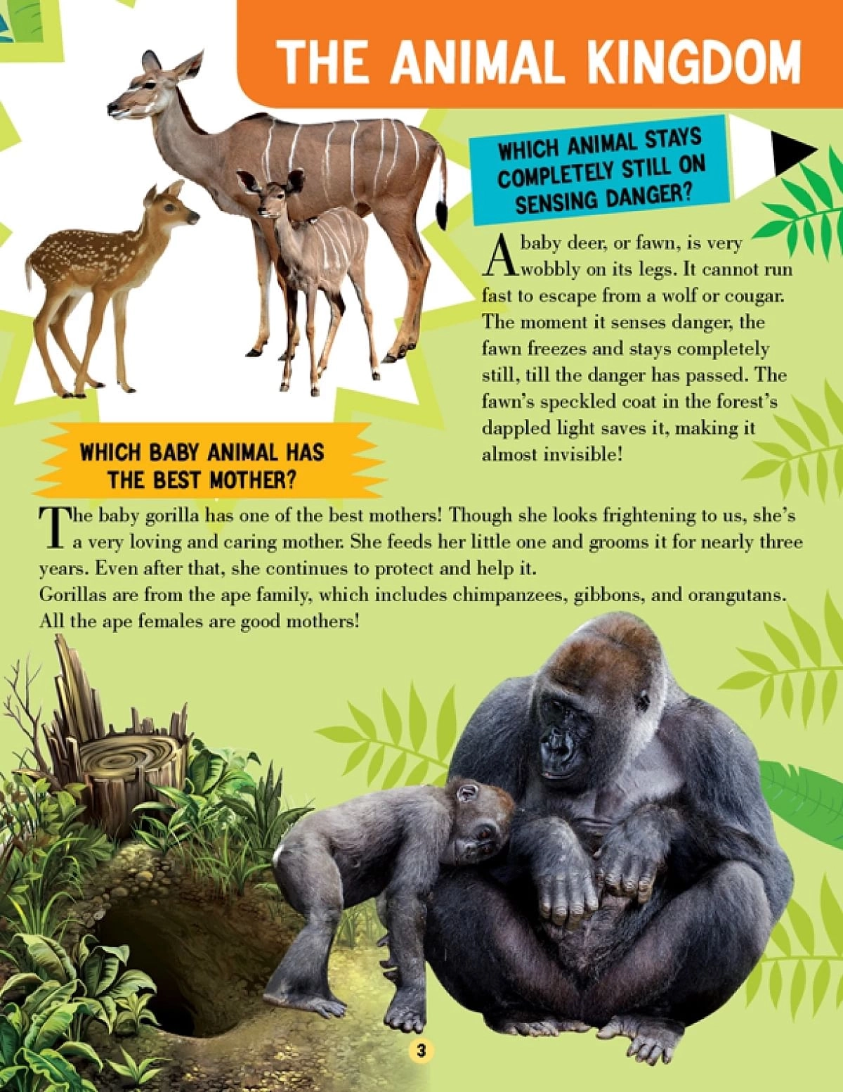 Dreamland Animal World Children Encyclopedia, All About Trivia Questions And Answers, 64 Pages, Paperback