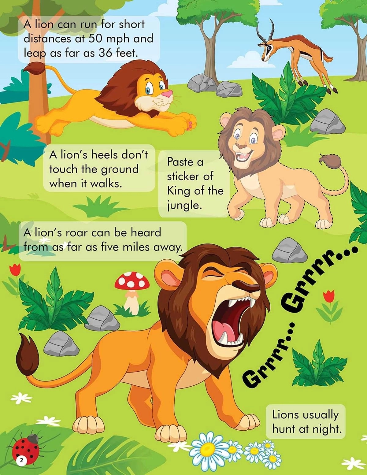 Dreamland Explore The Jungle Activity Book With Stickers And 3D Models, 40 Pages, Paperback