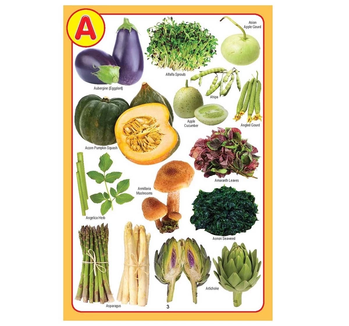 Dreamland Paper Back My Jumbo Vegetables Pictionary Picture Book for kids 5Y+, Multicolour