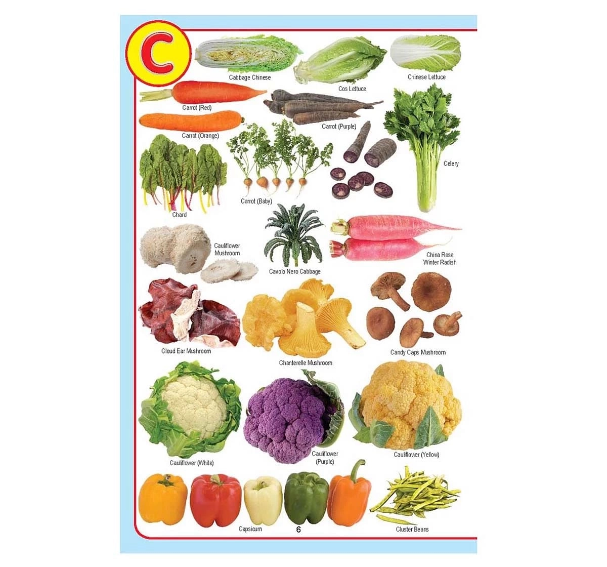 Dreamland Paper Back My Jumbo Vegetables Pictionary Picture Book for kids 5Y+, Multicolour