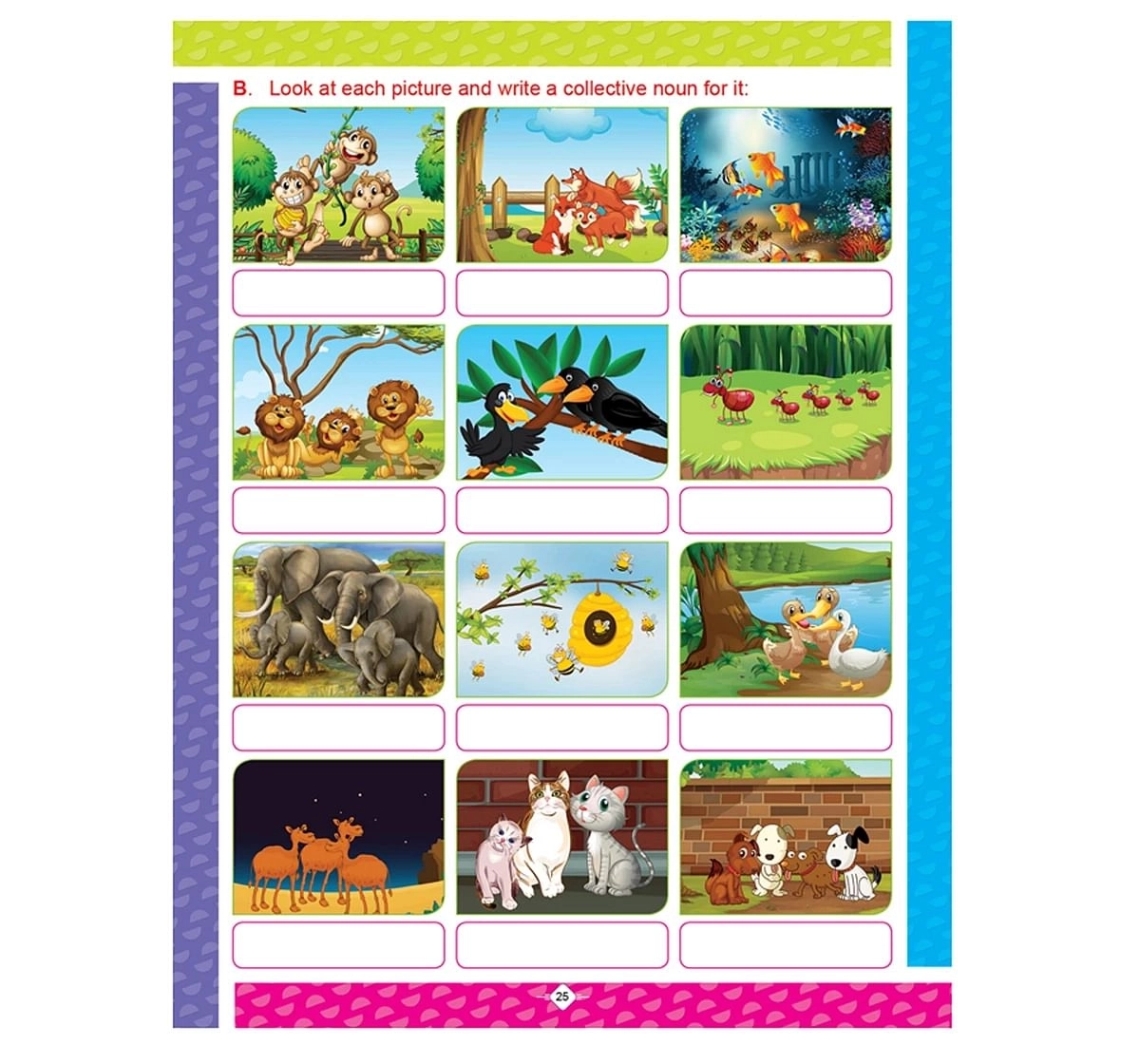 Dreamland Paper Back English Grammar Practice Part 6 School Textbooks for kids 5Y+, Multicolour