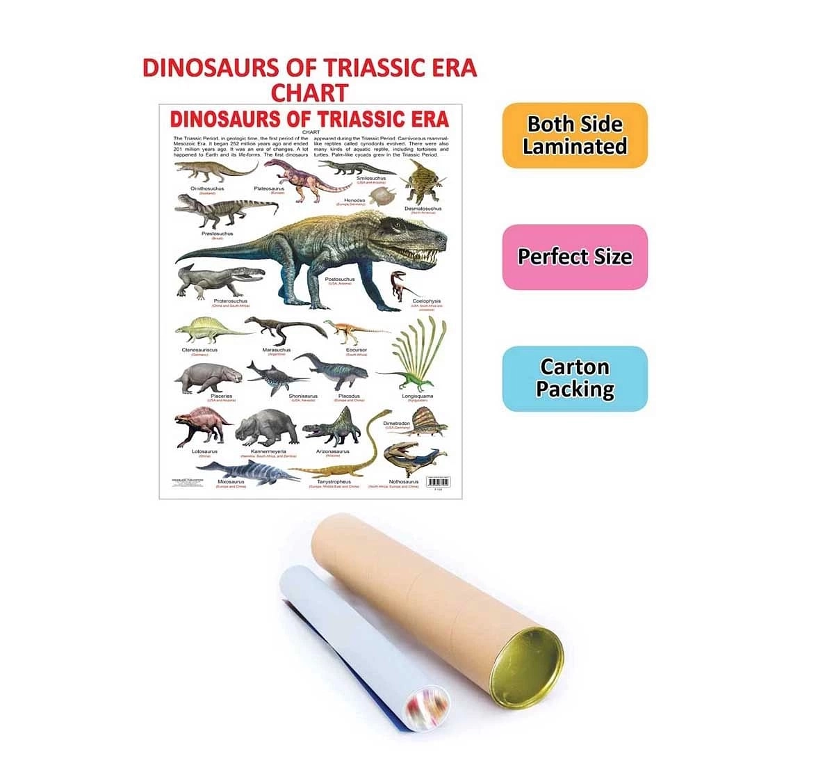 Dreamland Dinosaurs of Triassic Era Chart for kids 5Y+, Multicolour