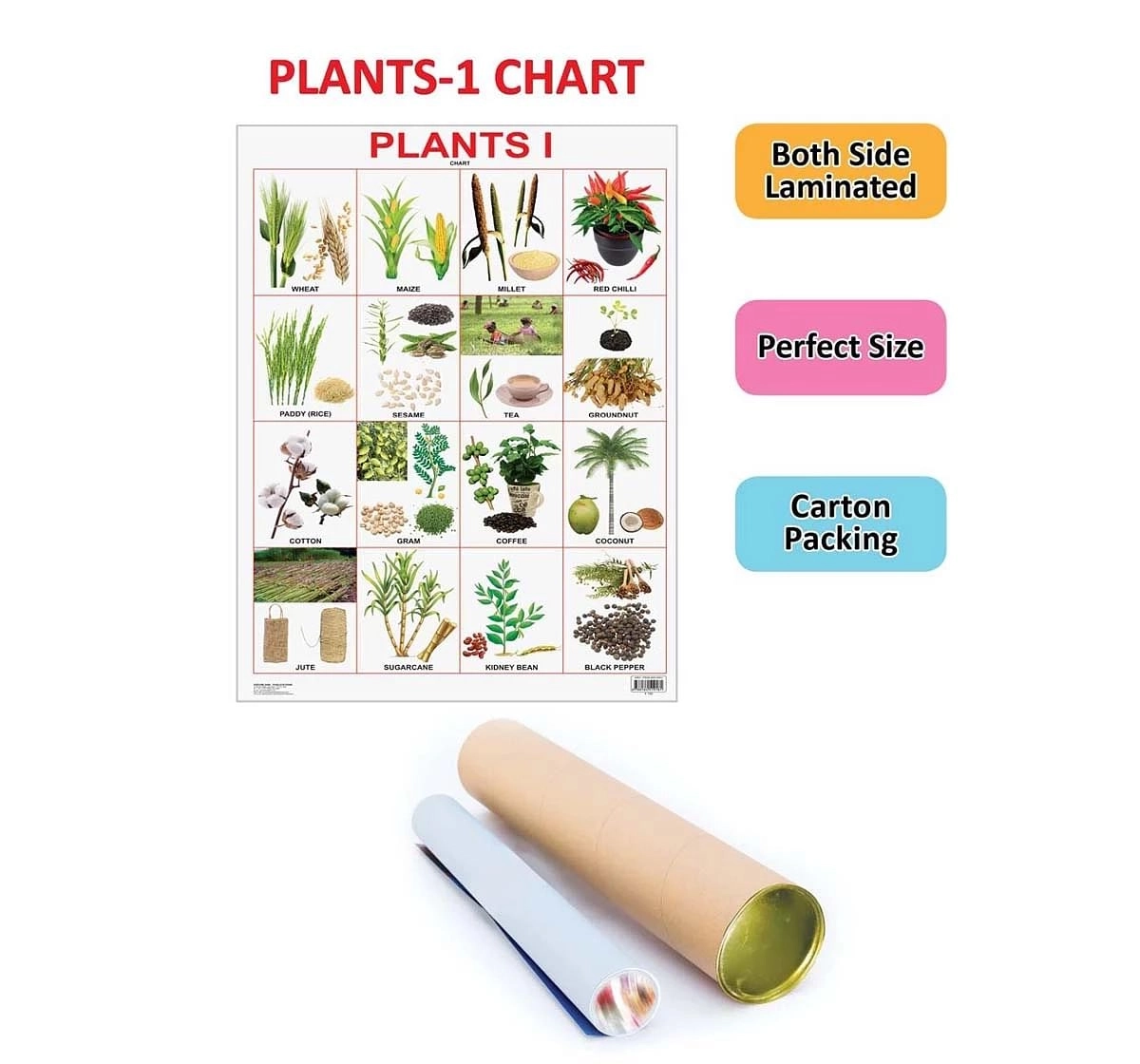 Dreamland Plants Chart for kids 5Y+, Multicolour