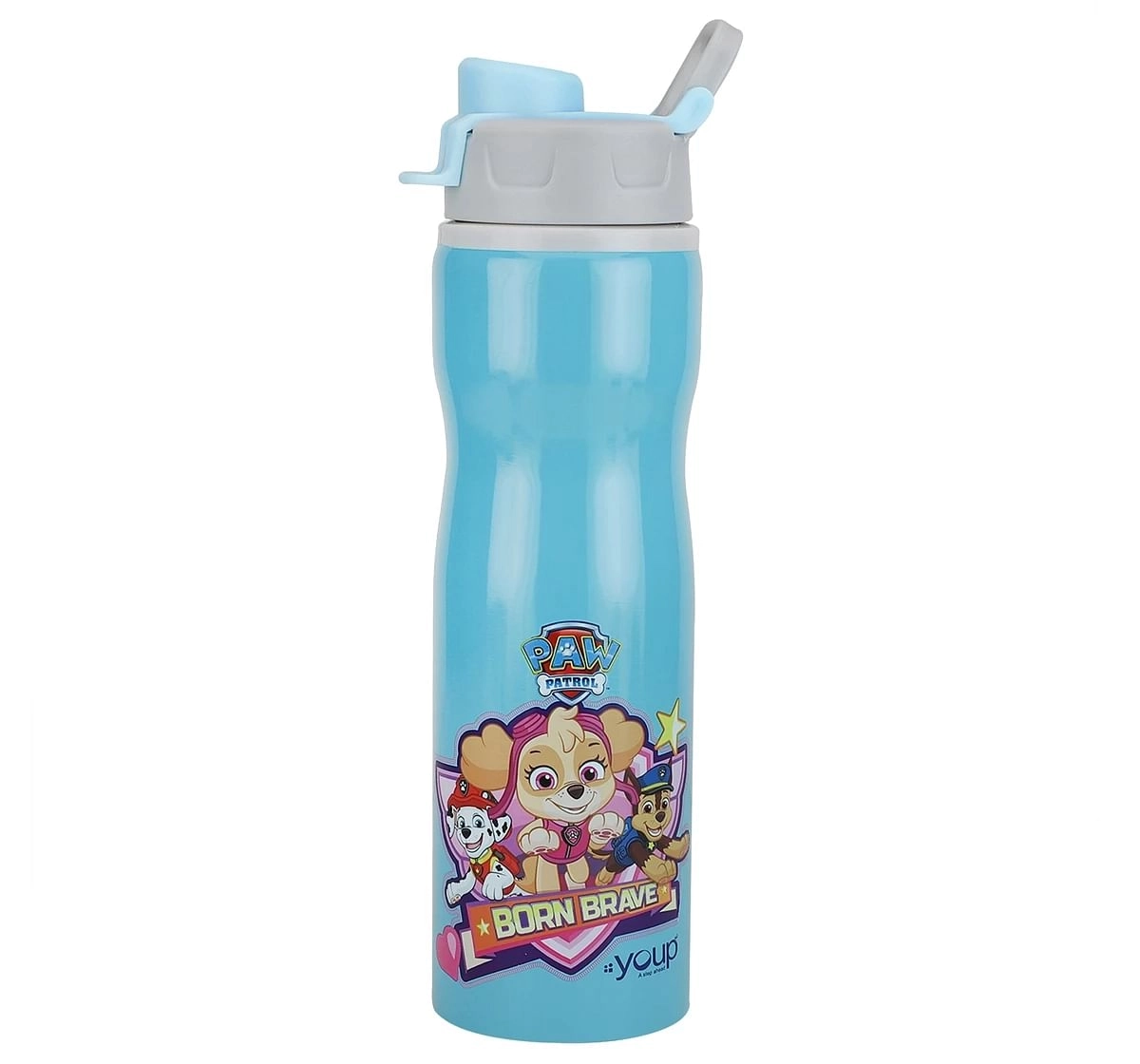 Youp Stainless Steel Paw Patrol Kids Water Bottle Expert Multicolour 3Y+ Assorted 