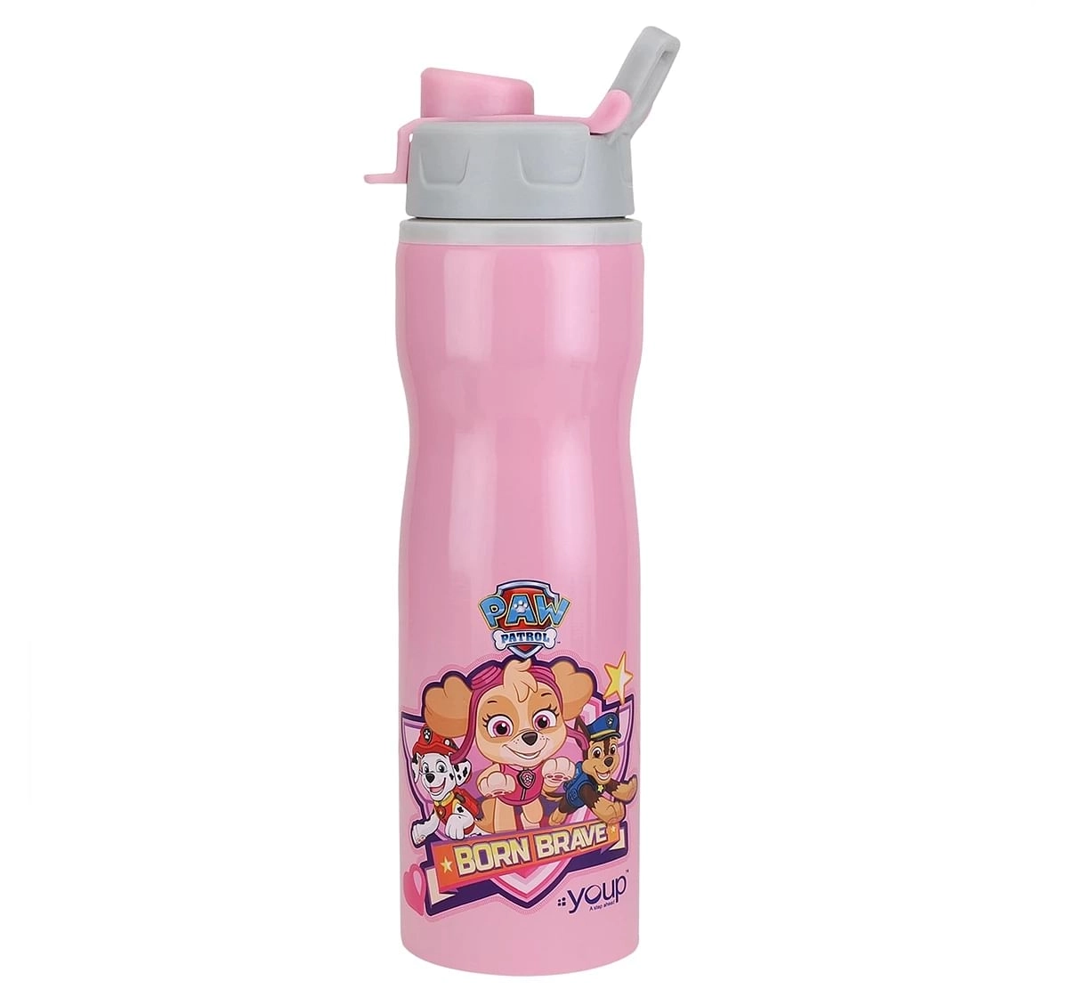 Youp Stainless Steel Paw Patrol Kids Water Bottle Expert Multicolour 3Y+ Assorted 