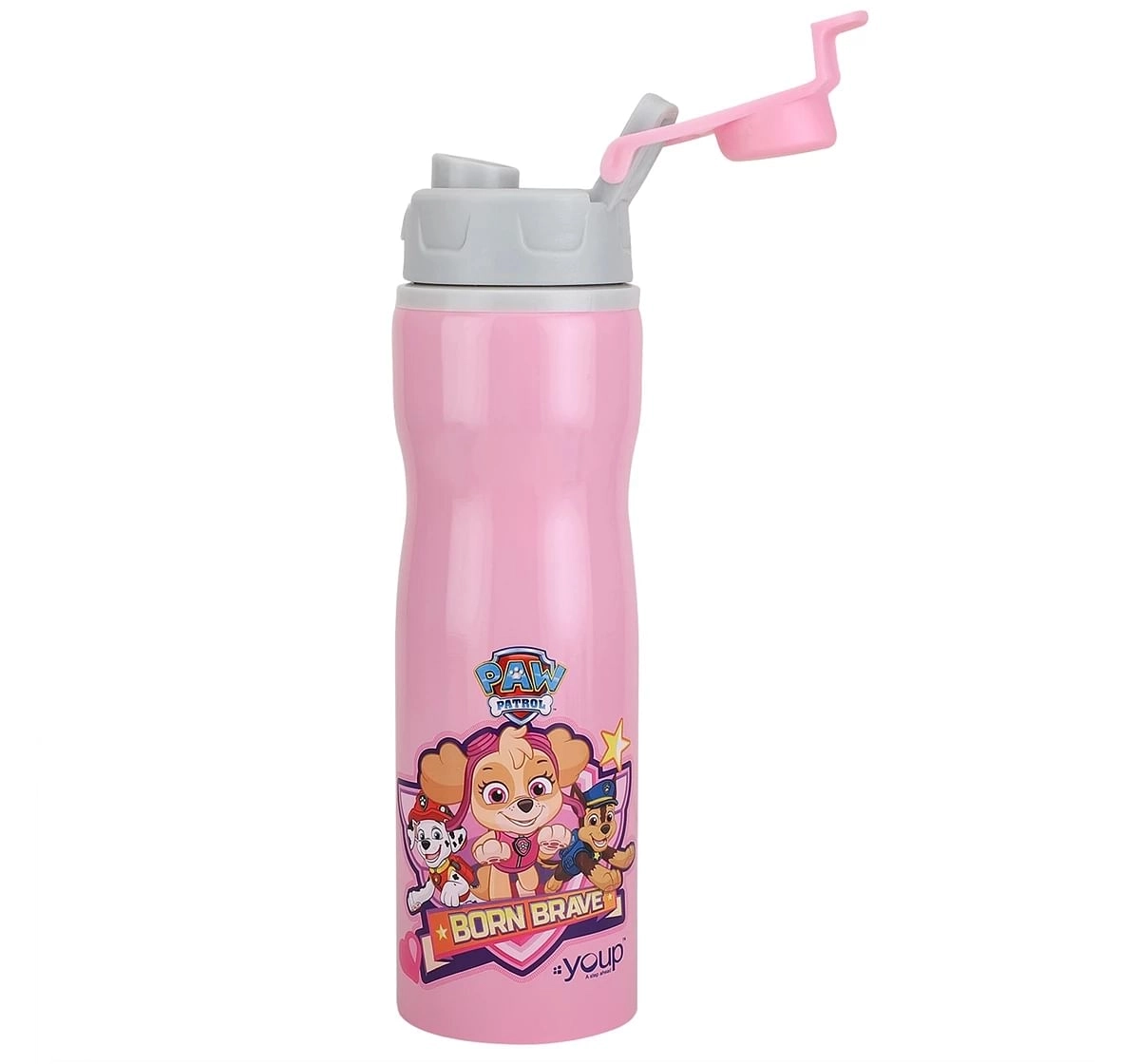 Youp Stainless Steel Paw Patrol Kids Water Bottle Expert Multicolour 3Y+ Assorted 