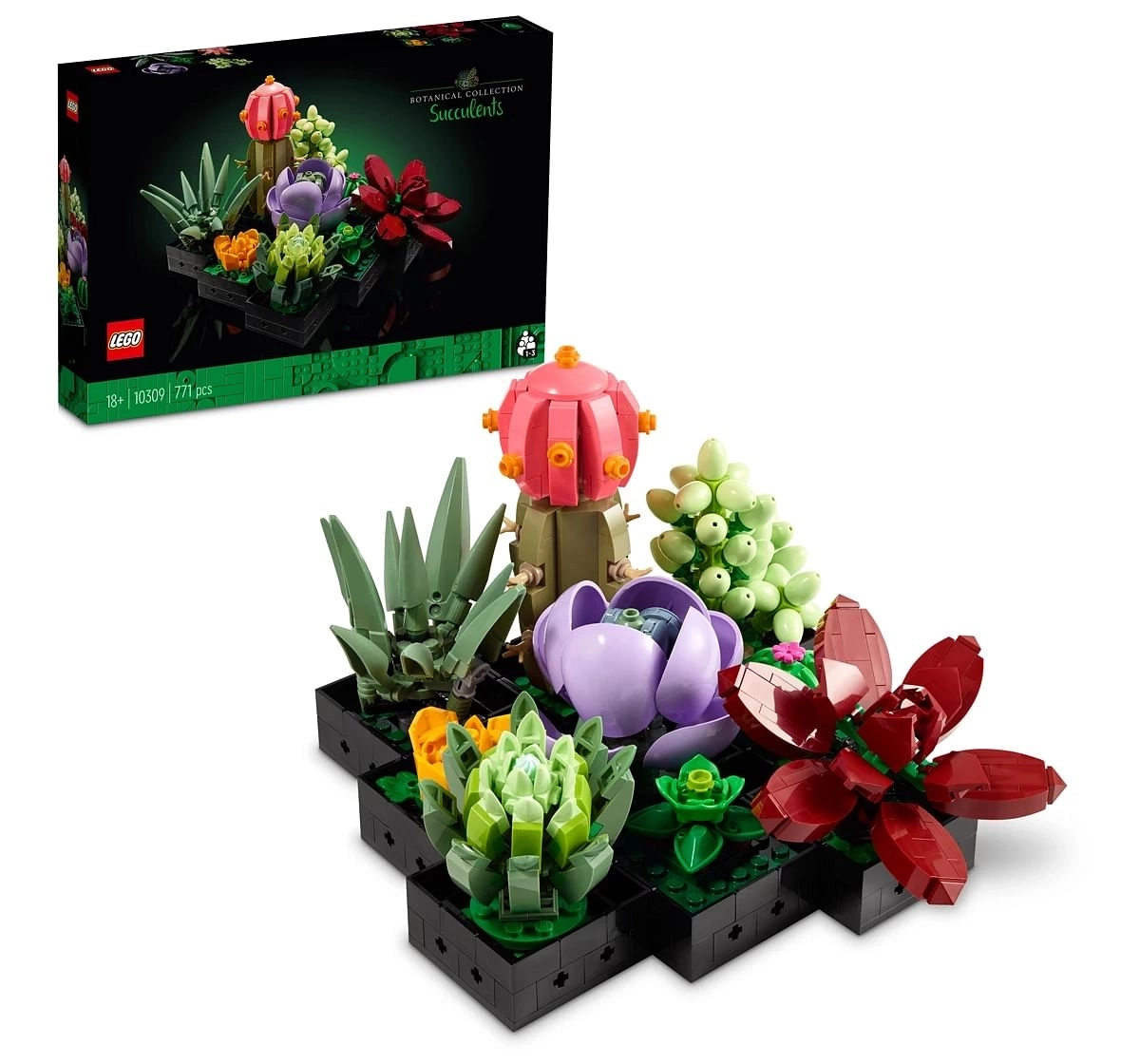 LEGO Succulents Plant Decor Building Set for Adults; Build a Succulents Display Piece for The Home or Office (771 Pieces)