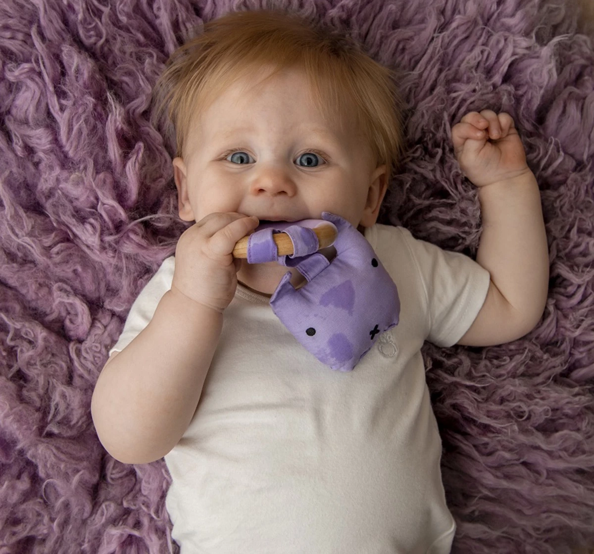 Little Rawr Wood Plush Teether Purple 18M+