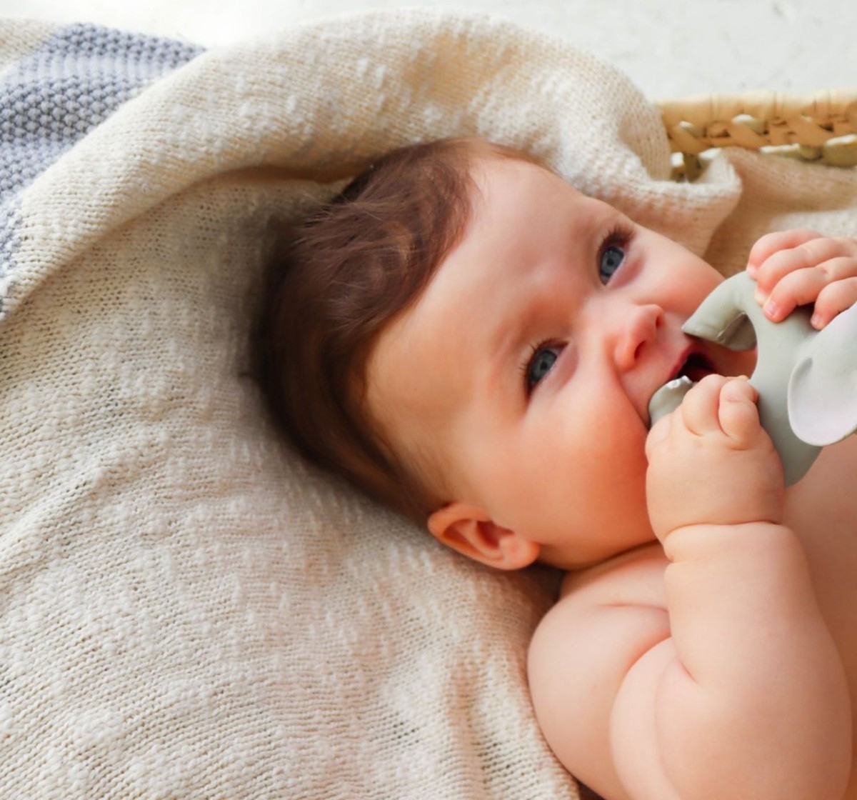 Oli & Carol Nelly The Elephant Bracelet Teether Grey 0M+