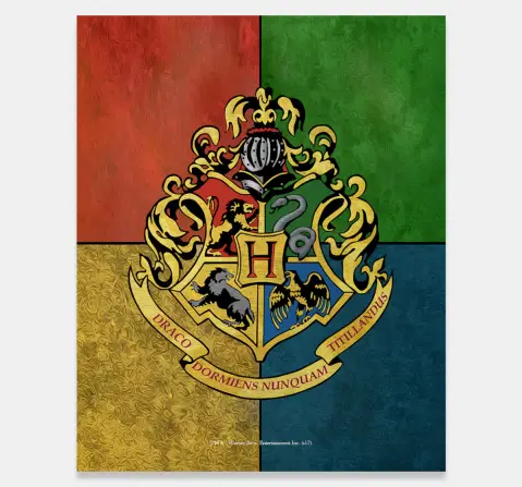 Macmerise Hogwarts Sigil Fridge Magnets Multicolour 12Y+