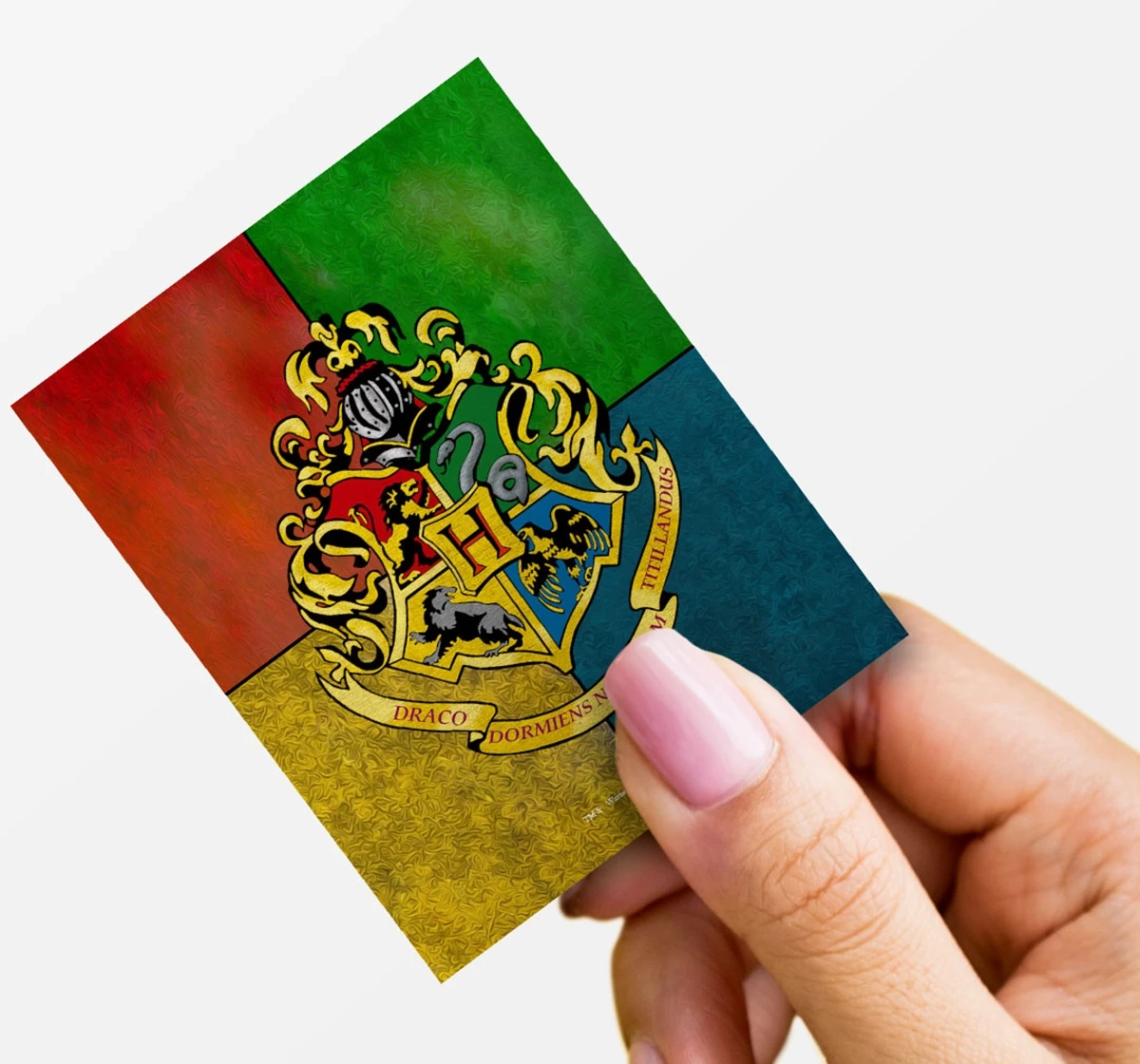 Macmerise Hogwarts Sigil Fridge Magnets Multicolour 12Y+