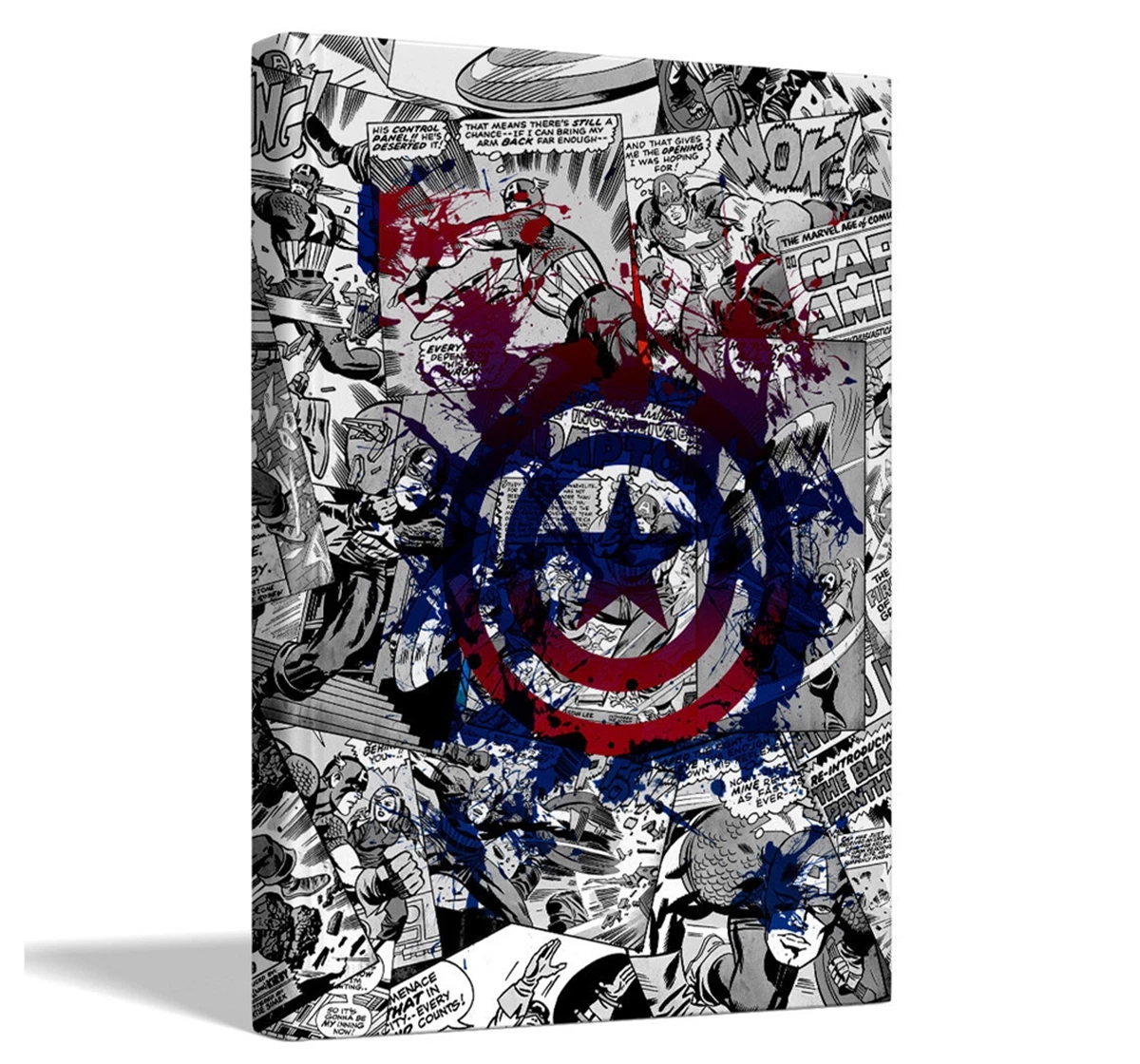 Macmerise Splash Out Shield Designer Diaries Multicolour 12Y+