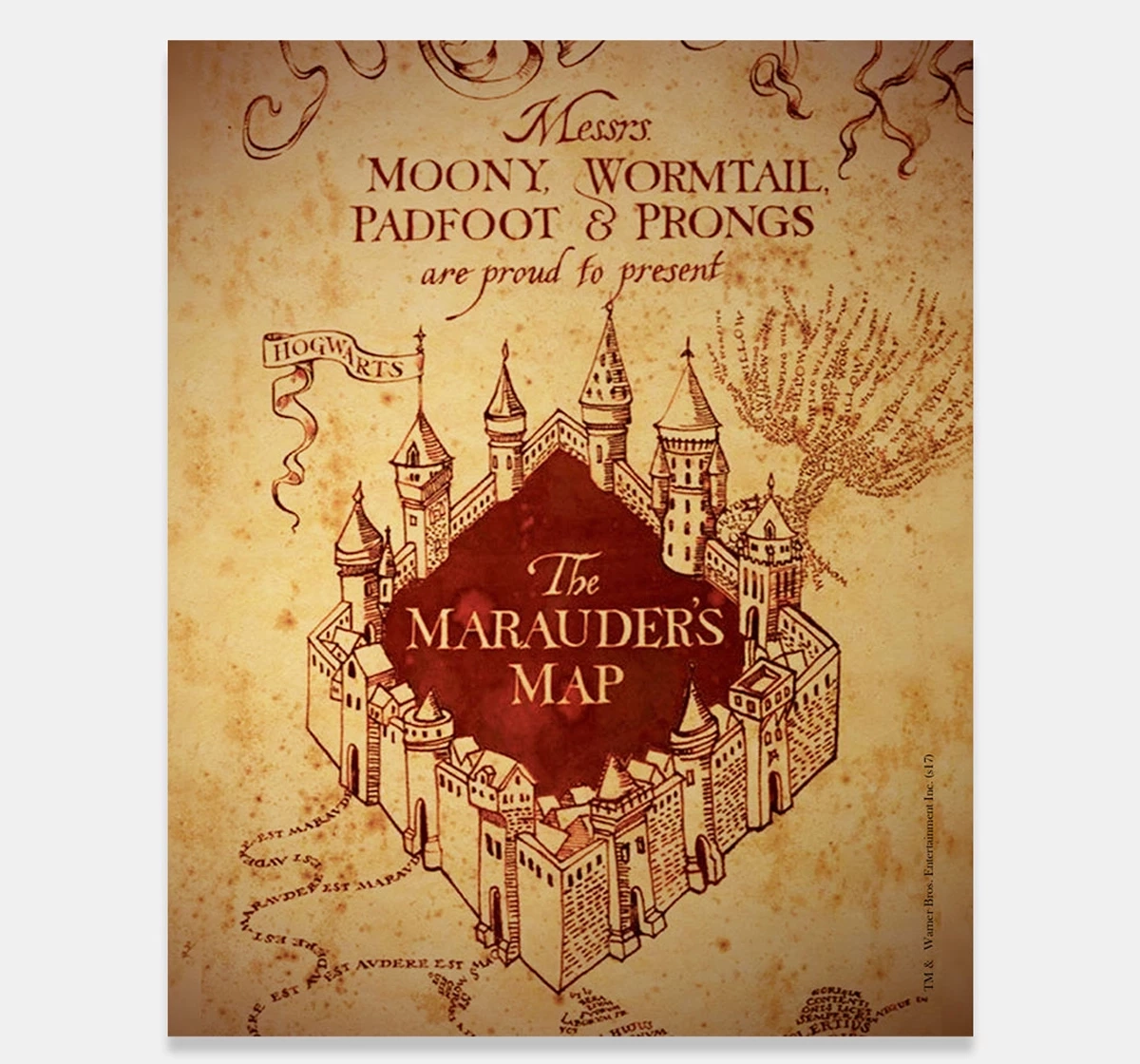 Macmerise Marauders Map Fridge Magnets Multicolour 12Y+