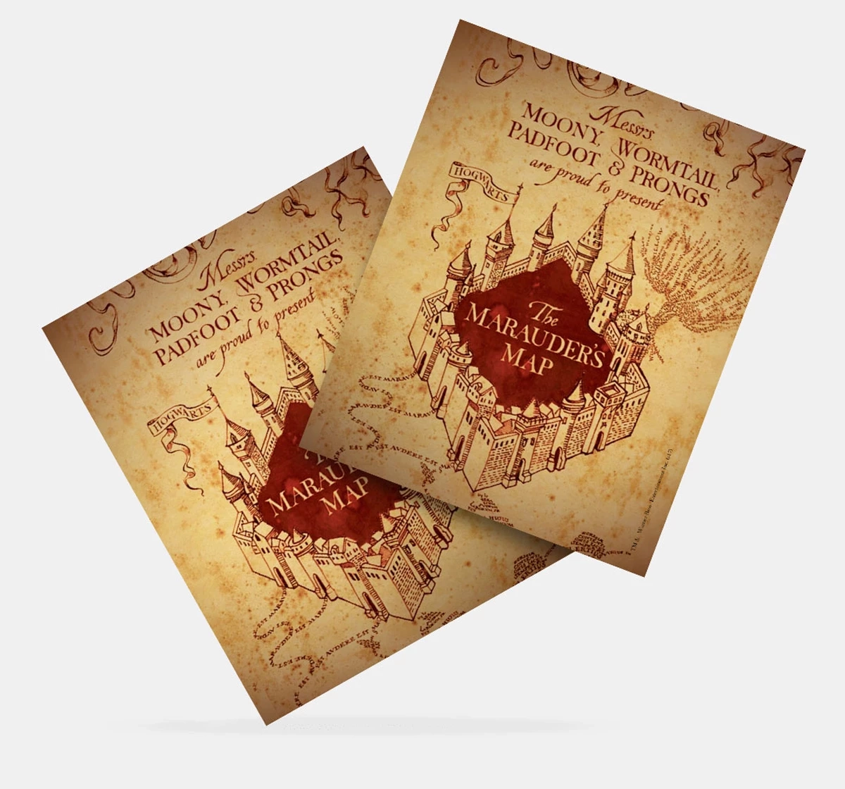 Macmerise Marauders Map Fridge Magnets Multicolour 12Y+