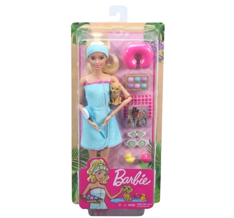 Barbie Dreamhouse Adventures Swim n Dive Swimmer Doll and Accessories, Kids for 3Y+, Multicolour, Assorted