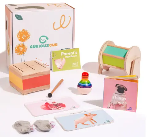 Curious Cub Montessori Learning Wooden Toys Box (Box 3: 6-9 Months)