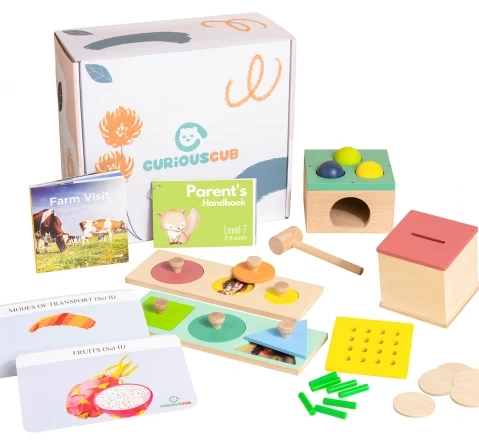 Curious Cub Montessori Learning Wooden Toys Box (Box 7: 1 Year +)