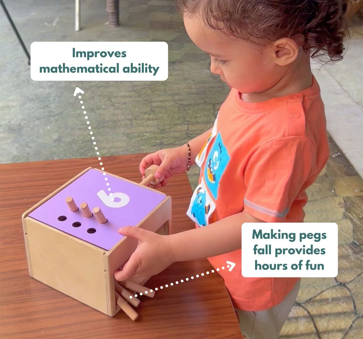 Curious Cub Montessori Learning Wooden Toys Box (Box 11: 1.5 - 2 Years)