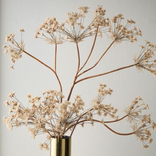 Faux Oversized Queen Anne's Lace Branch