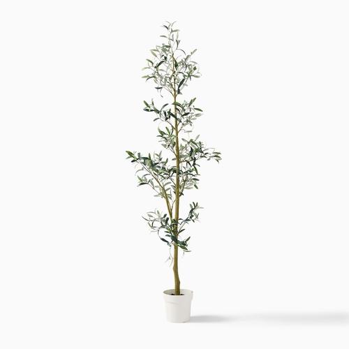 Faux Potted Sparse Olive Tree