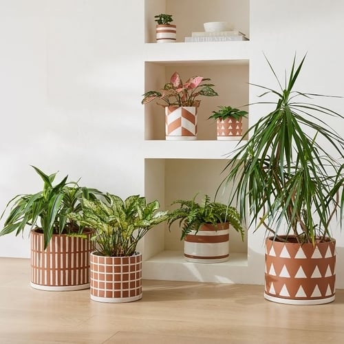 Rio Ceramic Planter, Terracotta