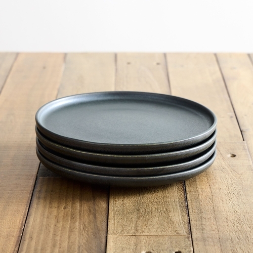 Aaron Probyn Stoneware Kanto Dinnerware , Set of 4