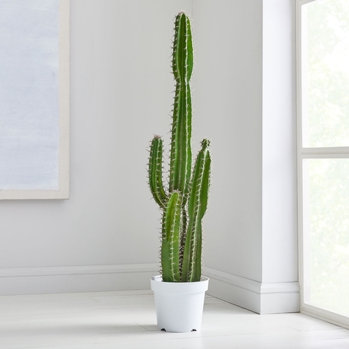 Faux Potted Cactus Plant