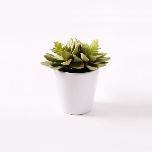 Faux Potted Echeveria Succulent Plant