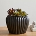 Sanibel Ceramic Tabletop Planter, Black