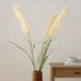 Faux Pampas Grass, 76'', White, Set of 3