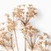 Faux Oversized Queen Anne's Lace Branch