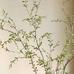 Faux Potted Sophora Prostrata Plant