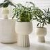 Marta Ceramic Planters