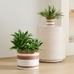 Rio Ceramic Planter, Terracotta